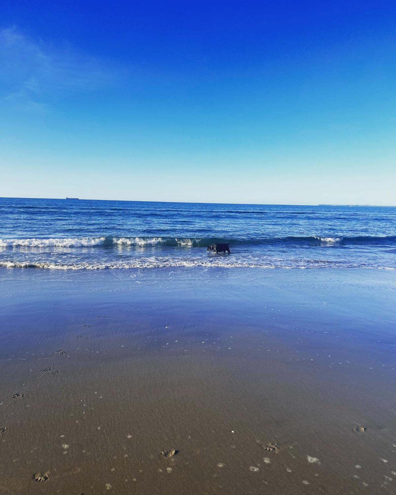 Beach Apartment Papamoa Dış mekan fotoğraf